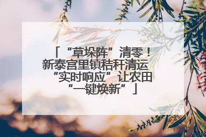 “草垛阵”清零！新泰宫里镇秸秆清运“实时响应”让农田“一键焕新”