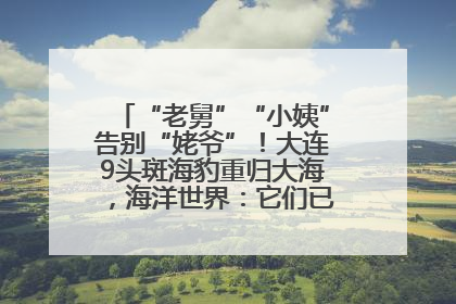 “老舅”“小姨”告别“姥爷”！大连9头斑海豹重归大海，海洋世界：它们已具备野外生存能力