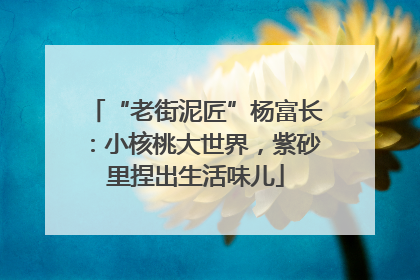 “老街泥匠”杨富长：小核桃大世界，紫砂里捏出生活味儿