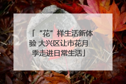 “花”样生活新体验 大兴区让市花月季走进日常生活