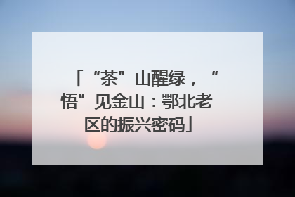 “茶”山醒绿，“悟”见金山：鄂北老区的振兴密码