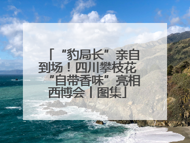 “豹局长”亲自到场！四川攀枝花“自带香味”亮相西博会丨图集
