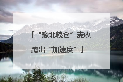 “豫北粮仓”麦收跑出“加速度”