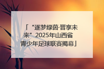 “逐梦绿茵·晋享未来”2025年山西省青少年足球联赛揭幕