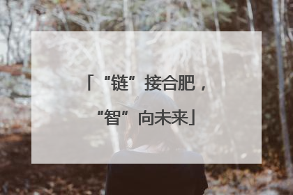 “链”接合肥，“智”向未来
