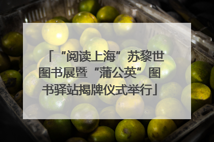 “阅读上海”苏黎世图书展暨“蒲公英”图书驿站揭牌仪式举行