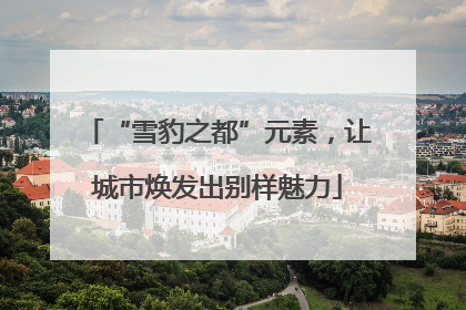 “雪豹之都”元素，让城市焕发出别样魅力