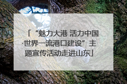 “魅力大港 活力中国·世界一流港口建设”主题宣传活动走进山东