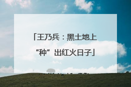 王乃兵：黑土地上“种”出红火日子