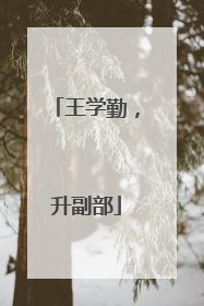 王学勤，升副部