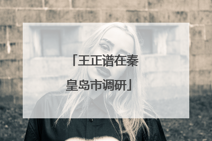 王正谱在秦皇岛市调研