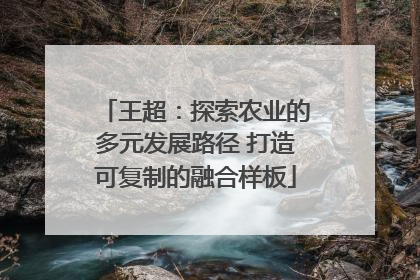 王超：探索农业的多元发展路径 打造可复制的融合样板