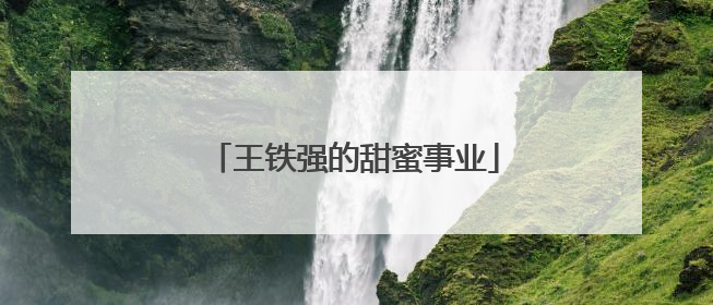王铁强的甜蜜事业