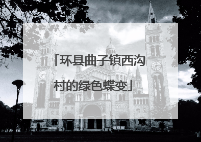 环县曲子镇西沟村的绿色蝶变