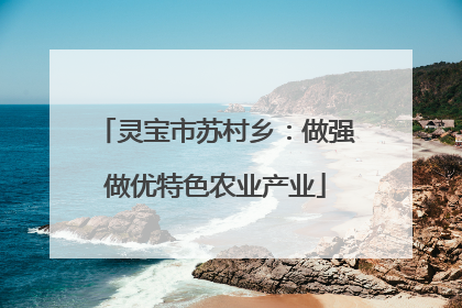 灵宝市苏村乡：做强做优特色农业产业
