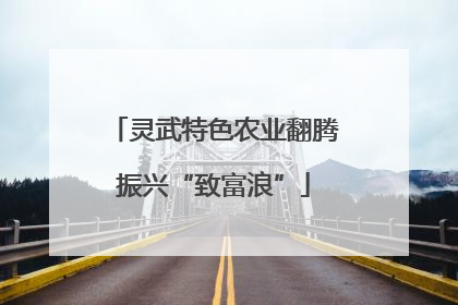 灵武特色农业翻腾振兴“致富浪”