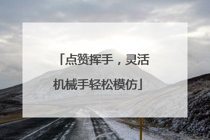 点赞挥手，灵活机械手轻松模仿