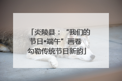 炎陵县：“我们的节日•端午”画卷 勾勒传统节日新韵