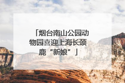 烟台南山公园动物园喜迎上海长颈鹿“新娘”