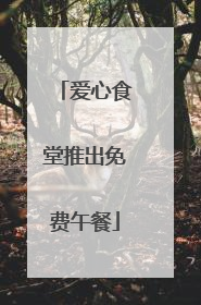 爱心食堂推出免费午餐