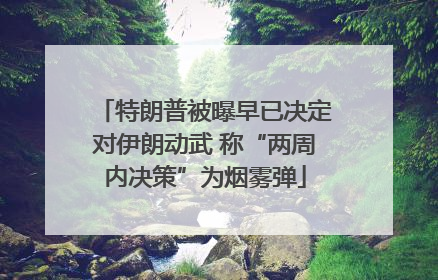 特朗普被曝早已决定对伊朗动武 称“两周内决策”为烟雾弹