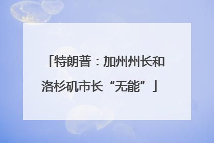 特朗普：加州州长和洛杉矶市长“无能”