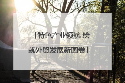 特色产业领航 绘就外贸发展新画卷