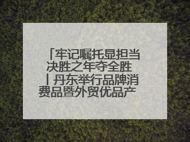 牢记嘱托显担当 决胜之年夺全胜丨丹东举行品牌消费品暨外贸优品产销对接大会