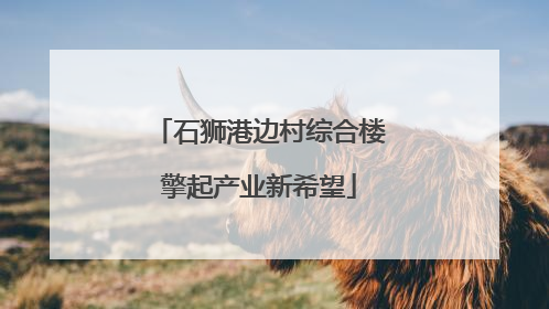 石狮港边村综合楼擎起产业新希望