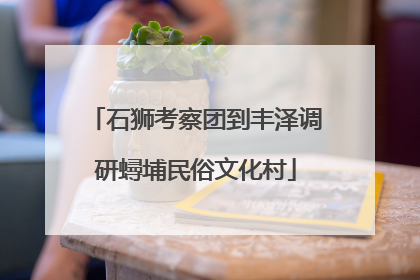 石狮考察团到丰泽调研蟳埔民俗文化村