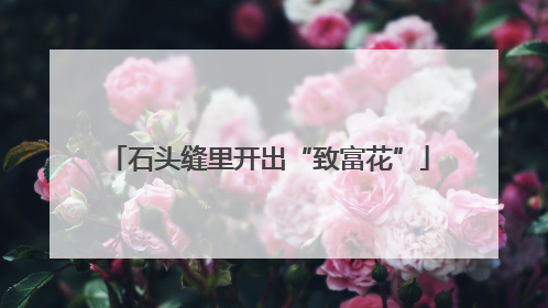 石头缝里开出“致富花”