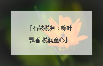 石鼓税务：粽叶飘香 税润童心