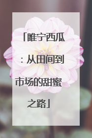 睢宁西瓜：从田间到市场的甜蜜之路