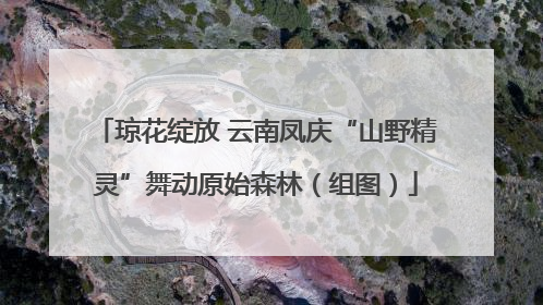 琼花绽放 云南凤庆“山野精灵”舞动原始森林（组图）