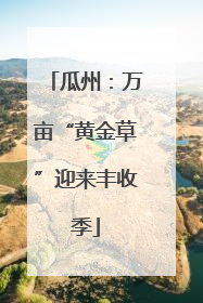 瓜州：万亩“黄金草”迎来丰收季
