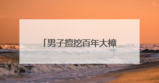 男子擅挖百年大樟树，检察护绿让古树“老有所依”