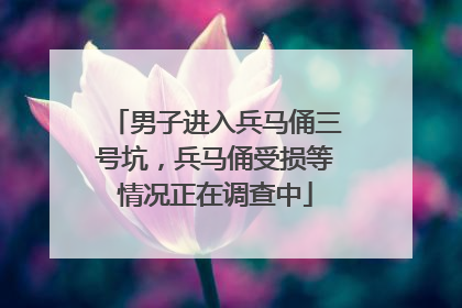 男子进入兵马俑三号坑，兵马俑受损等情况正在调查中