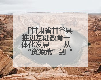 甘肃省甘谷县推进基础教育一体化发展——从“资源荒”到“满堂彩”