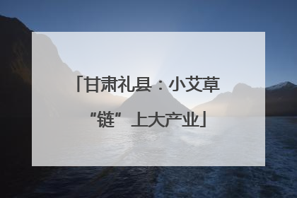 甘肃礼县：小艾草“链”上大产业