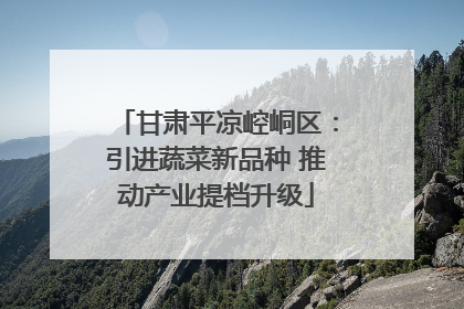 甘肃平凉崆峒区：引进蔬菜新品种 推动产业提档升级