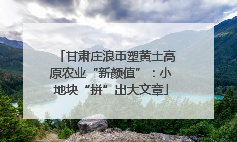 甘肃庄浪重塑黄土高原农业“新颜值”：小地块“拼”出大文章