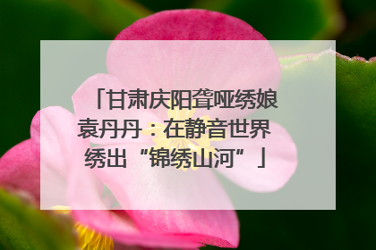 甘肃庆阳聋哑绣娘袁丹丹：在静音世界绣出“锦绣山河”