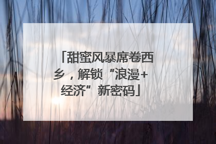 甜蜜风暴席卷西乡，解锁“浪漫+经济”新密码