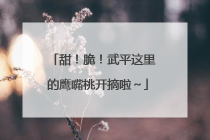 甜！脆！武平这里的鹰嘴桃开摘啦～