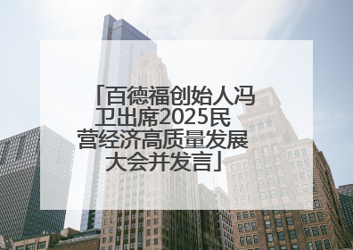 百德福创始人冯卫出席2025民营经济高质量发展大会并发言