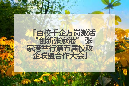 百校千企万岗激活“创新张家港” 张家港举行第五届校政企联盟合作大会