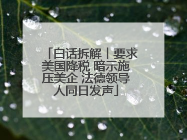 白话拆解丨要求美国降税 暗示施压美企 法德领导人同日发声