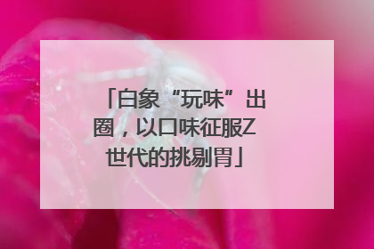 白象“玩味”出圈，以口味征服Z世代的挑剔胃