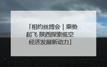 相约丝博会|乘势起飞 陕西探索低空经济发展新动力