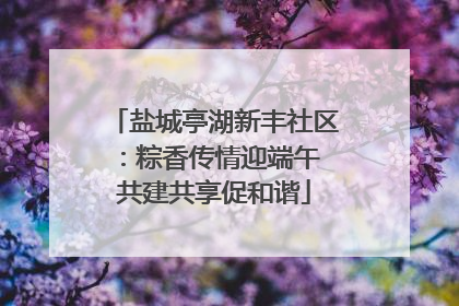 盐城亭湖新丰社区：粽香传情迎端午 共建共享促和谐